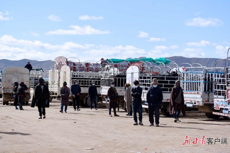 海州区养殖业趋势解读:迈向绿色化与智能化